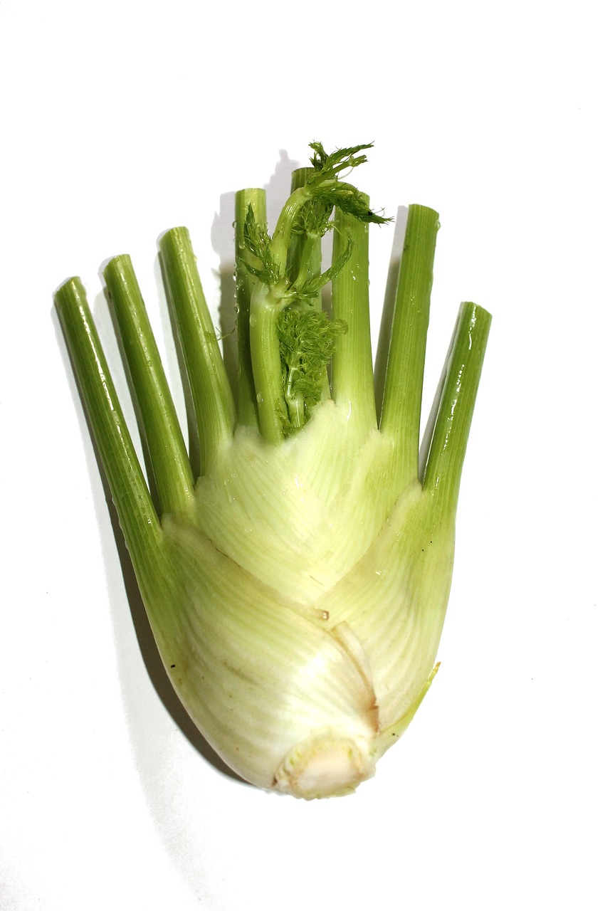 哪些蔬菜是药材〃哪些蔬菜是药材类 哪些蔬菜是药材〃哪些蔬菜是药材类