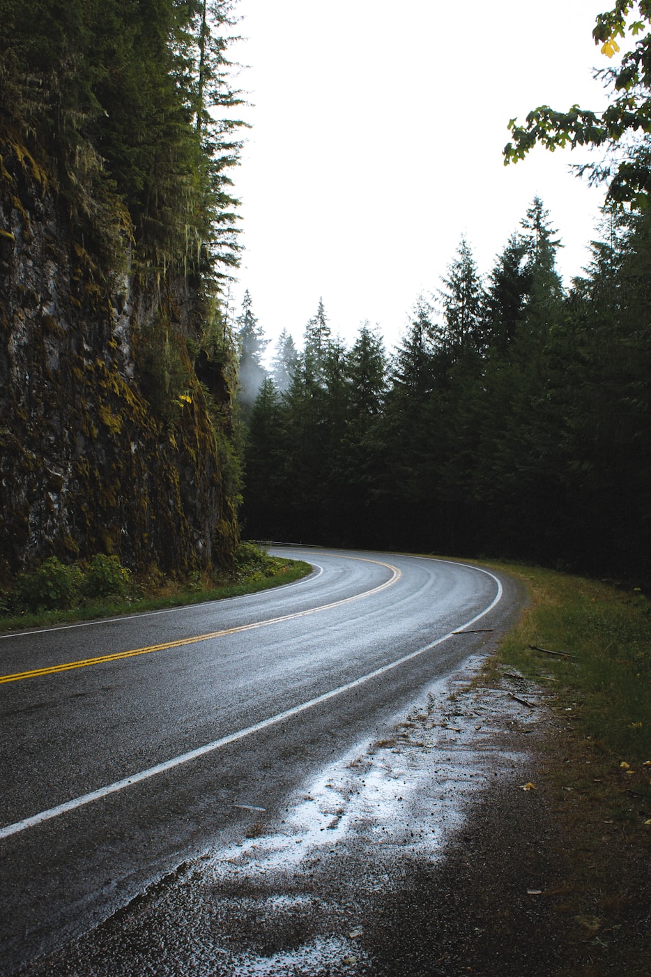 「旅游的动机」〃旅游动机的类型