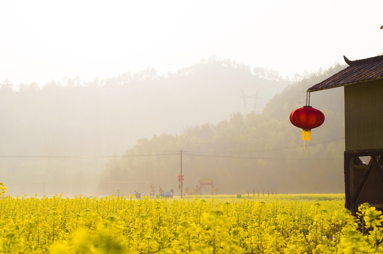 「各种花的象征意义」〃前十寓意好的花 「各种花的象征意义」〃前十寓意好的花