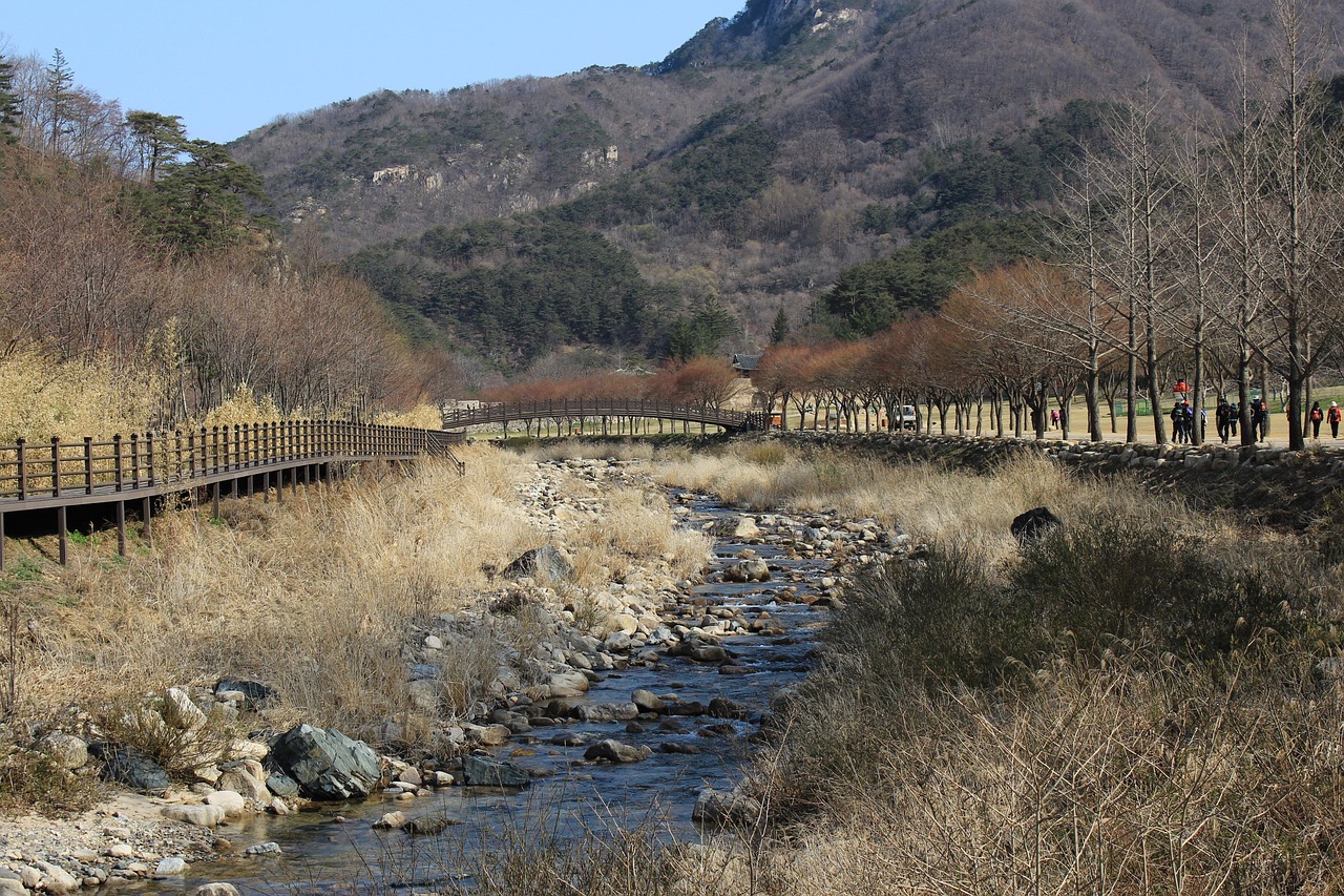【成都蒲江樱桃山旅游景区推荐采摘区域/成都蒲江樱桃沟风景区】