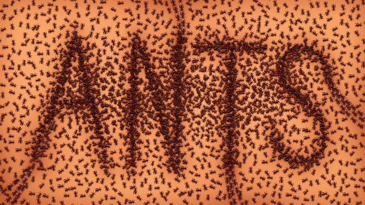 蒸腾作用的意义,蒸腾作用的意义是什么?