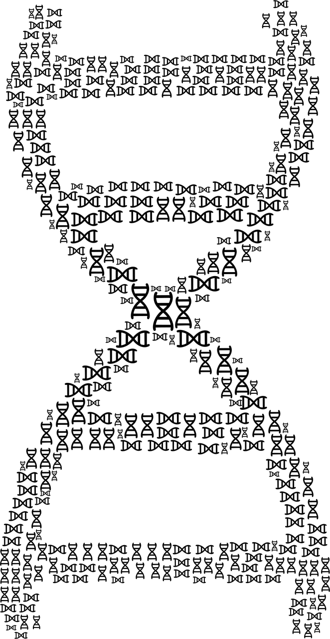 【《科学与艺术》阅读理解/科学与艺术阅读答案】