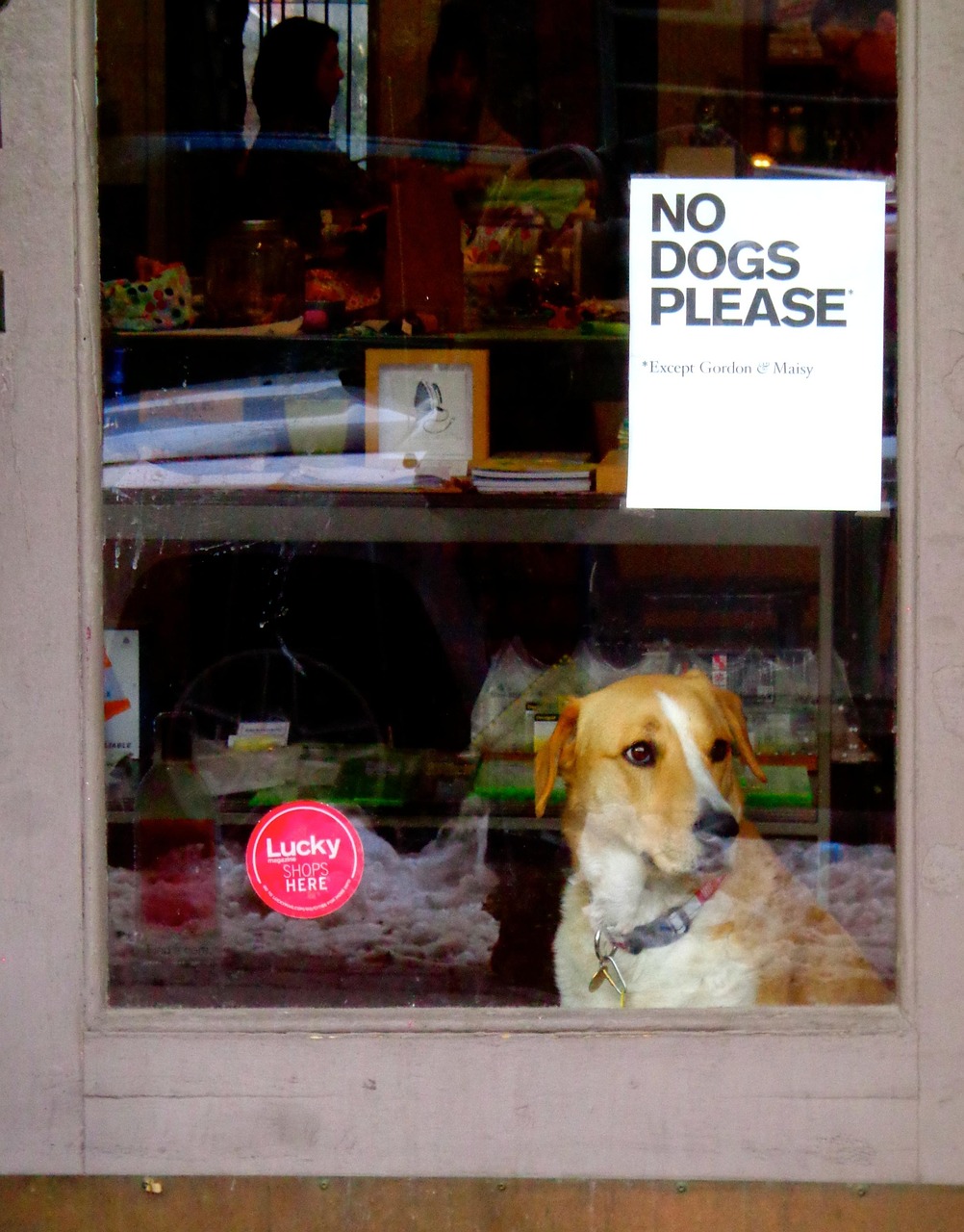 关于动物的纪录片英文︰(动物纪录片英文翻译) 关于动物的纪录片英文︰(动物纪录片英文翻译)