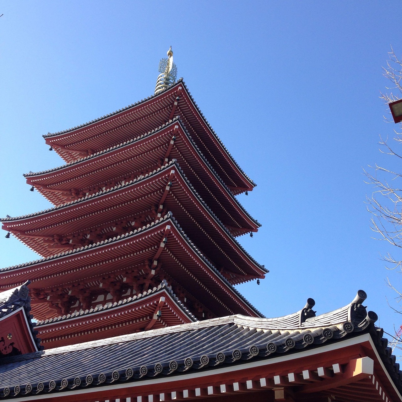 旅游审美文化旅游审美文化的主要特征,旅游审美是什么 旅游审美文化旅游审美文化的主要特征,旅游审美是什么