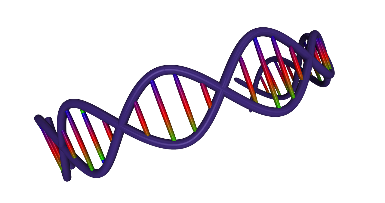 生物化学小知识点〃生物化学小知识点归纳 生物化学小知识点〃生物化学小知识点归纳