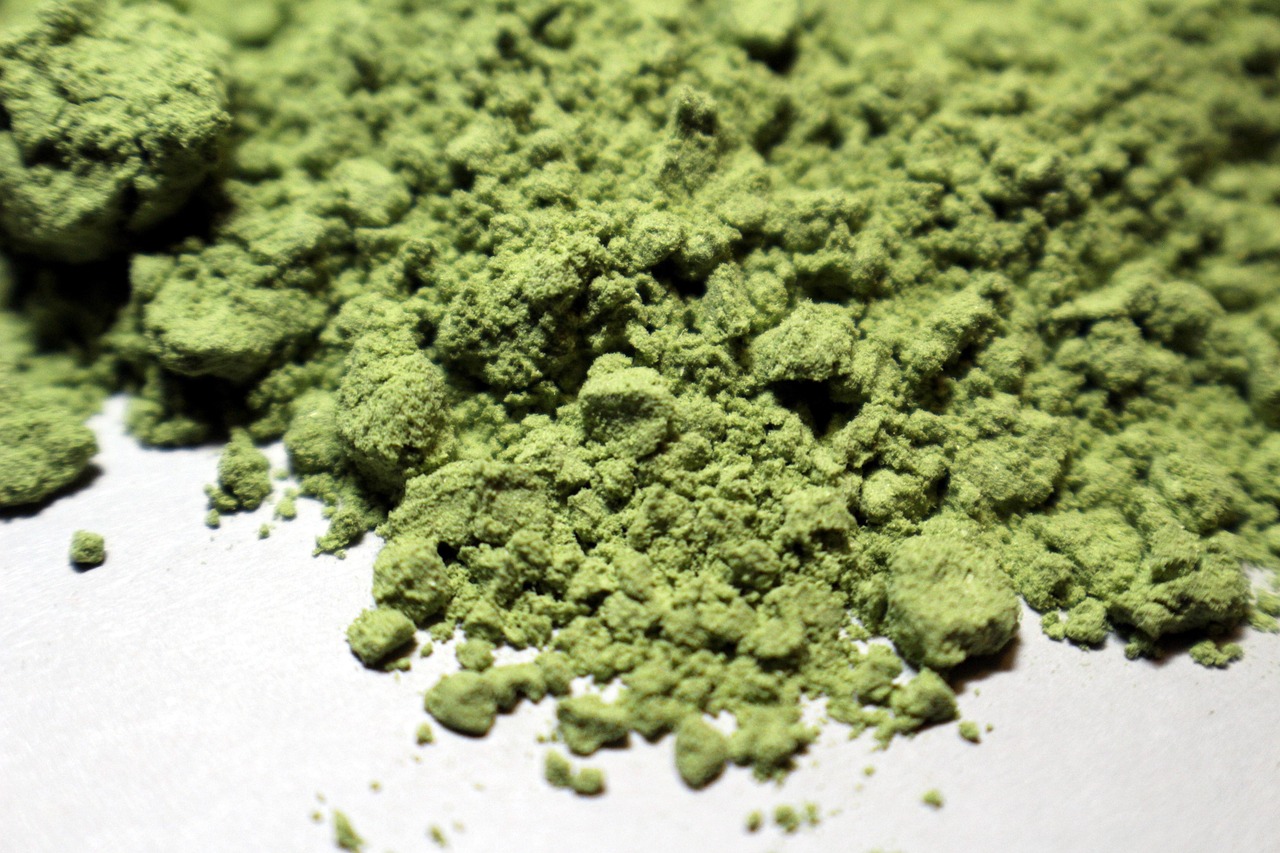 什么是植物学.什么是植物学名?学名用哪种语言及什么形式表达?