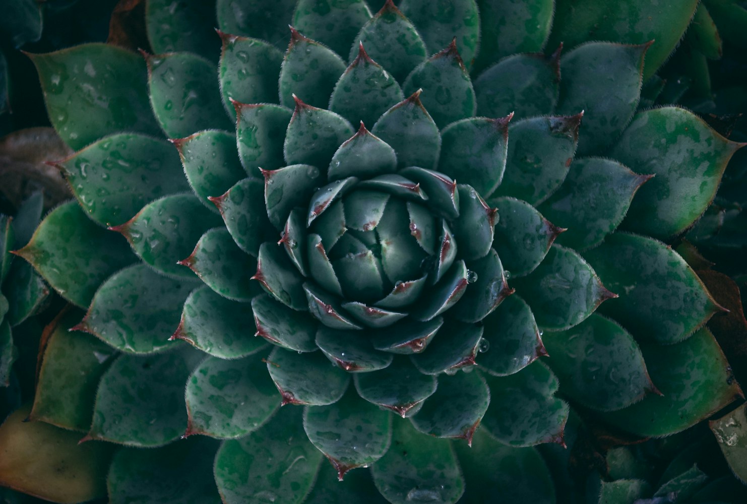 “绿色植物与生物圈的水循环知识点	” 绿色植物与生物圈的水循环ppt课件？