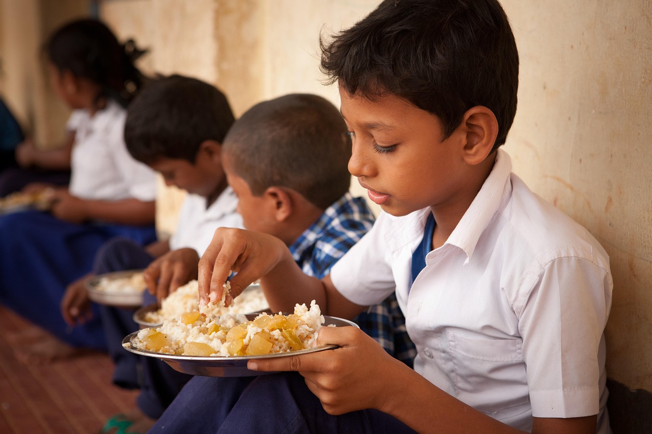 “小学生健康饮食的几大要点	” 小学生健康饮食的几大要点是什么？