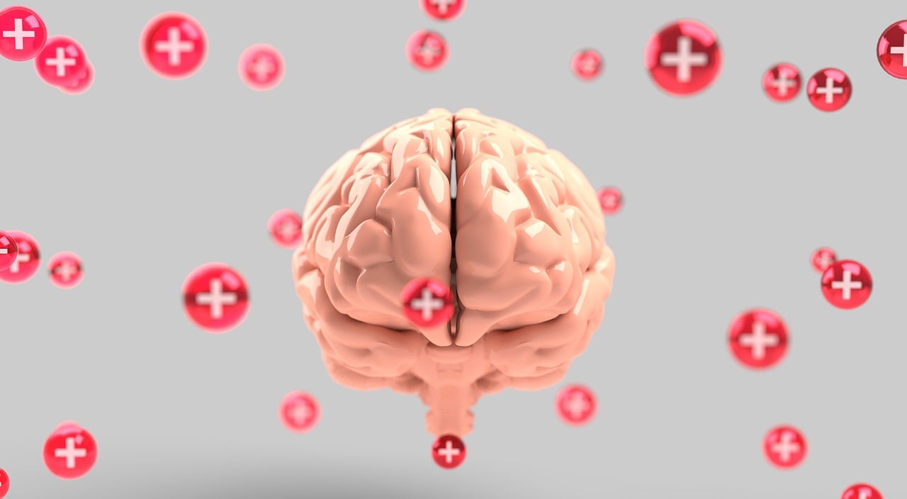 【心理健康的标准是什么/心理健康的标准是什么论文】