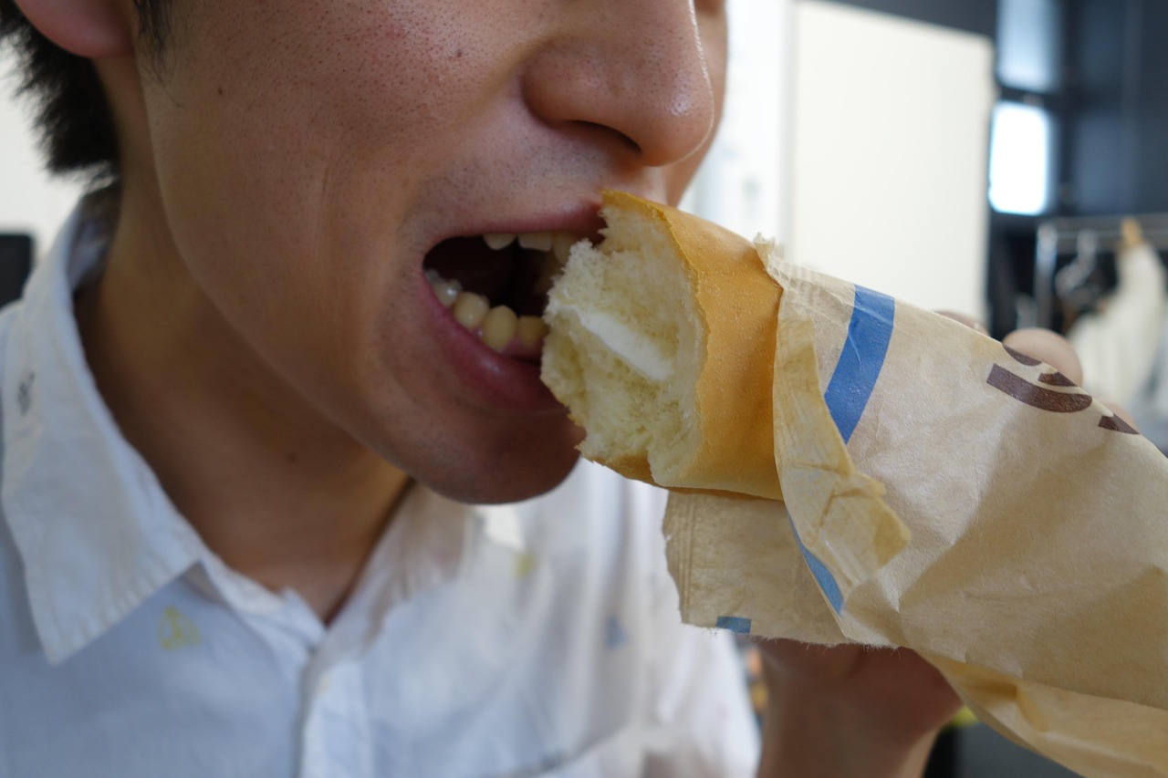 【猫咪挑食怎么办宁愿饿着也不吃怎么办/猫咪挑食不吃猫粮怎么纠正】