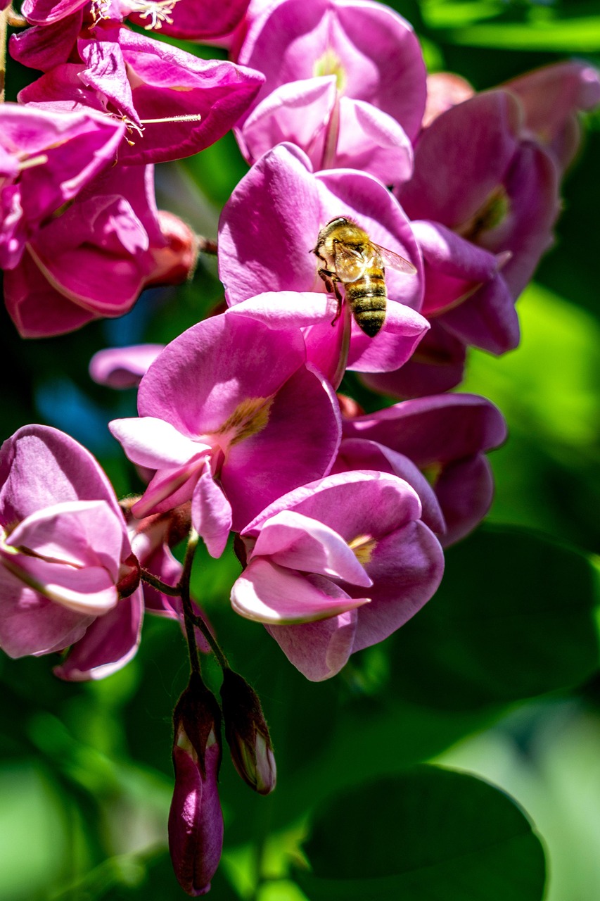 描写植物的好词好句有哪些-,描写植物的好词20个 描写植物的好词好句有哪些-,描写植物的好词20个
