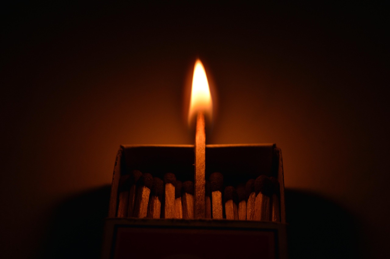 代表积极向上的事物代表积极向上的事物有哪些-代表积极向上的植物 代表积极向上的事物代表积极向上的事物有哪些-代表积极向上的植物