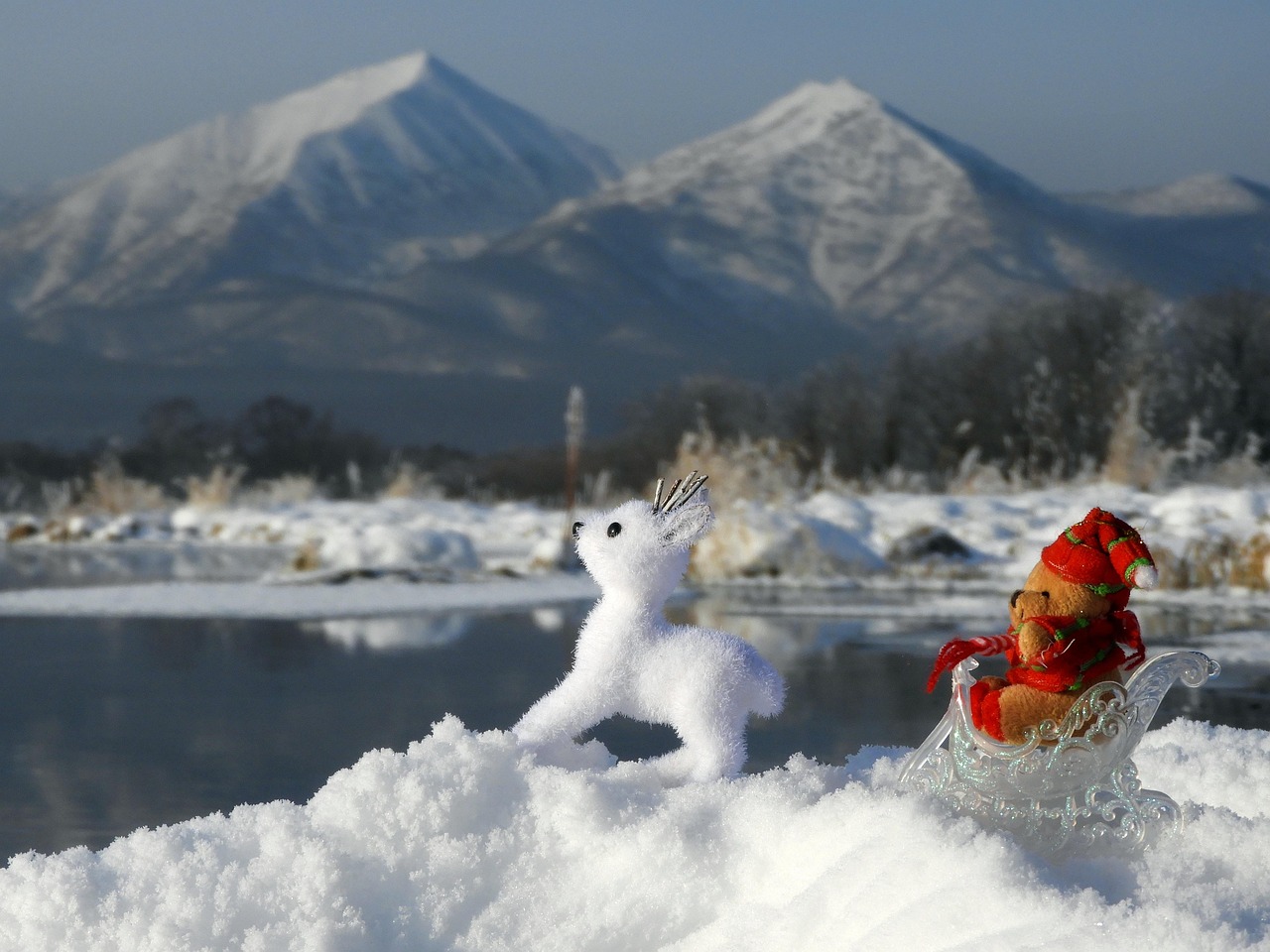 12月19日是今年杭州下的第一场雪吗？,12月19日是今年杭州下的第一场雪吗为什么