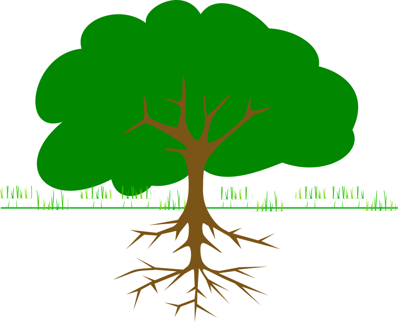 生物可分为哪几类-,生物可分为哪几类
