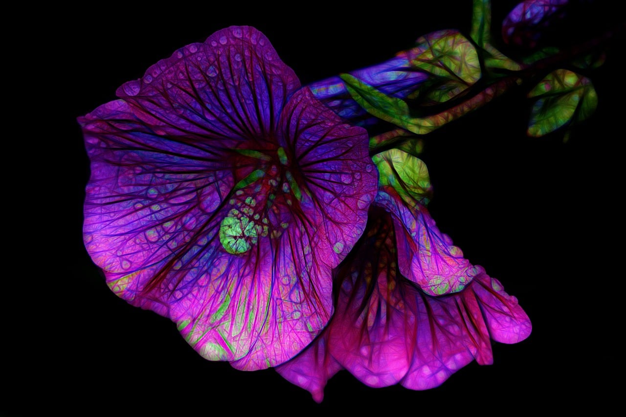 「花的结构包括哪些部分?」〃花的结构包括哪些部分 「花的结构包括哪些部分?」〃花的结构包括哪些部分