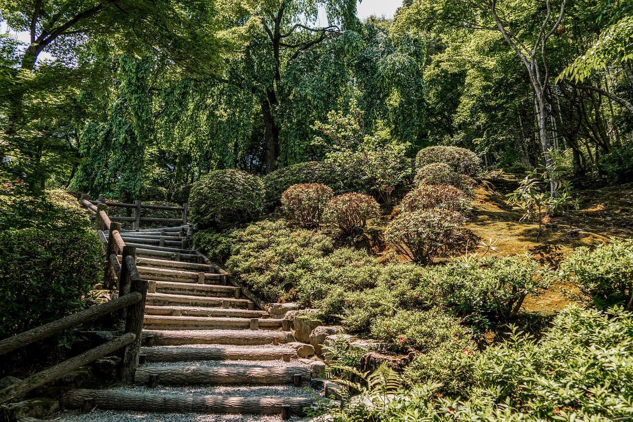 上海植物园地址路线〃上海植物园地址路线查询 上海植物园地址路线〃上海植物园地址路线查询