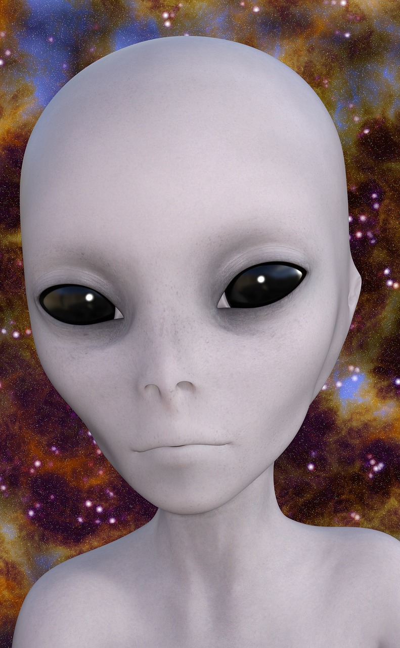 外星人的英文？︰(外星人的英文单词)