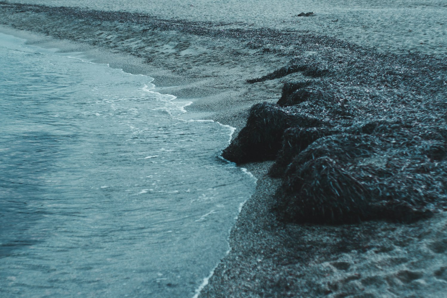 海洋前十霸主排名,远古海洋前十霸主排名 海洋前十霸主排名,远古海洋前十霸主排名