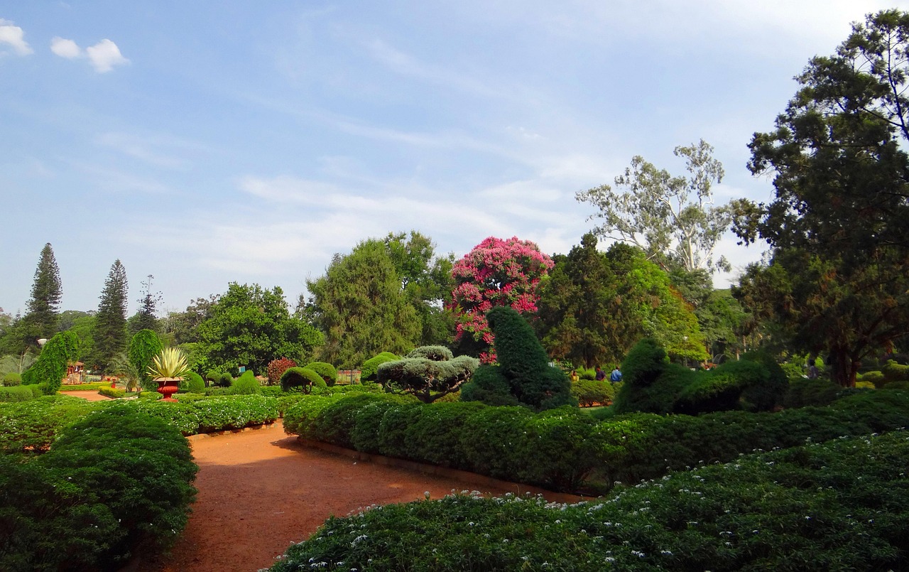 北京植物园有什么植物〃北京植物园必去三个景点 北京植物园有什么植物〃北京植物园必去三个景点