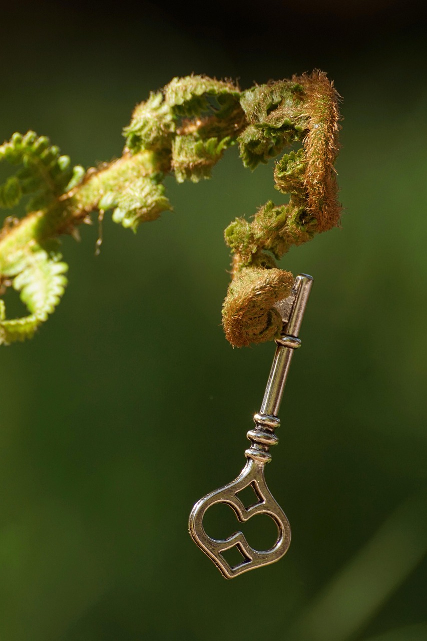 根茎叶是植物的什么器官？.是根茎叶还是根茎叶