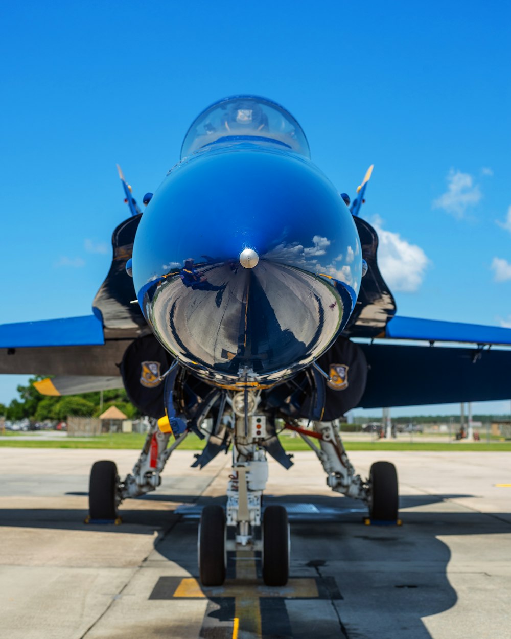 哪些航空公司允许宠物进客舱.哪些航空公司允许宠物进客舱?