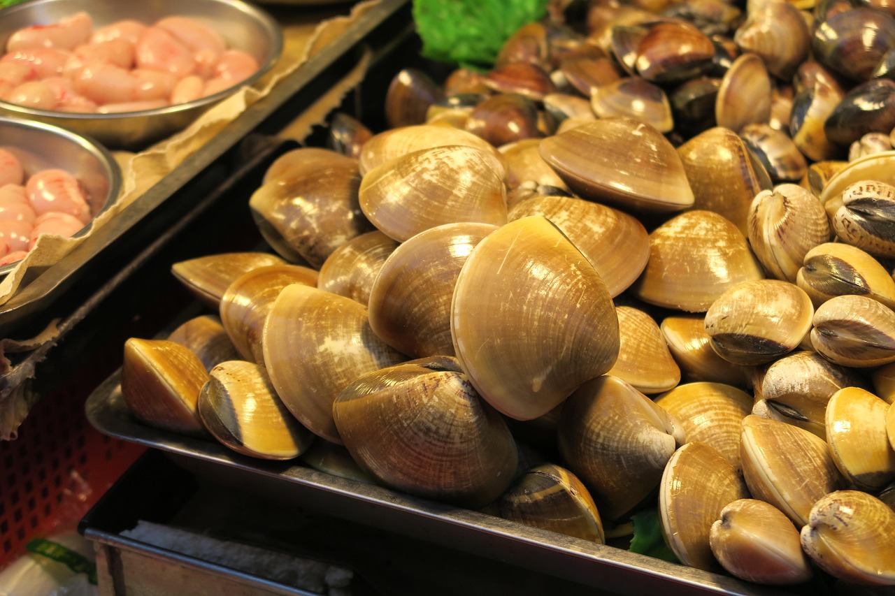 「适合多种体型糖尿病人的控糖减脂食谱」〃控糖减肥食谱 「适合多种体型糖尿病人的控糖减脂食谱」〃控糖减肥食谱
